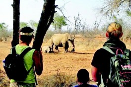 Unspecified-2 Unspecified-2