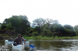 Unspecified-3 Unspecified-3