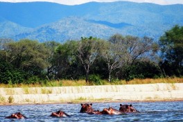 Unspecified-5 Unspecified-5