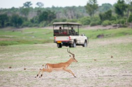 Game drive 