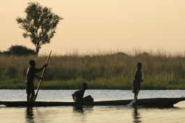 Mokoro chobe river 