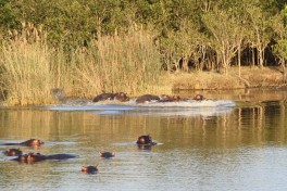 St Lucia  by Jean & Nathalie