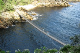 Tsitsikamma suspension bridge  by NH53