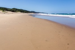 iSimangaliso  by 
Gerry Zambonini