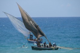 Traditional dhow fishing  by Maurits Vermeulen