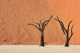 Namib Desert, Namibia  by Angel Hernansaez
