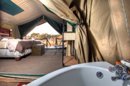 Camp savuti tent inside 