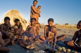 Grasslands bushmen 