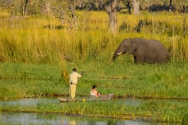 Oddballs enclave mokoro 