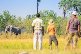 Oddballs enclave walk 