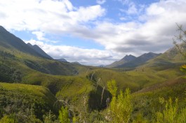 Tsitsikamma  by Daniel Kotze