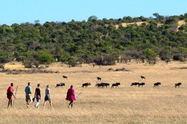 Bush walk mara porini 