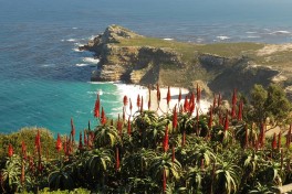 Cape Point  by Malcolm Manners