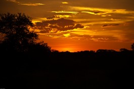 Makgadikgadi Pans sunset  by BA Banks