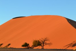 Namib Dune  by sanderlw