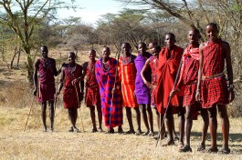 Maasai warriors 