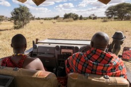 Porini amboseli drive 