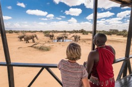 Porini amboseli waterhole 