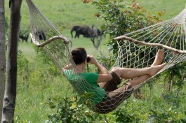 Hammock at Sable Sands Lodge 