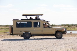Safari vehicle 
