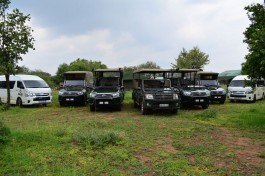Safari vehicles 