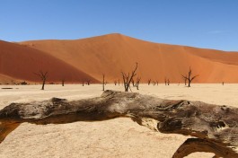 Namib 