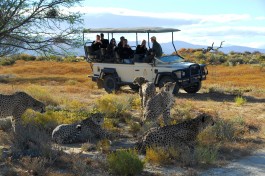 Inverdoorn game drive 