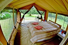 Tent inside  large 