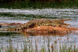 5367515392 bb298f5749 b 