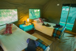 Serviced safari tent inside  