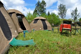 Camping equipment 
