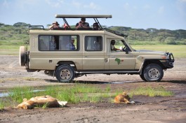 Kenya safari vehicle 
