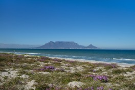 Cape Town 
