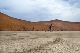 Deadvlei 