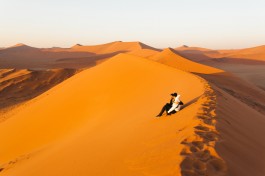 Dune 45 in Namib 