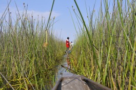 Okavango Delta mokoro ride 
