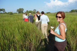 Okavango delta (7) 