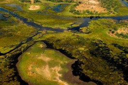 Okavango delta 