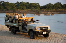 Game drive along South Luangwa River 