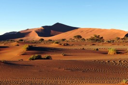 Namib Desert 