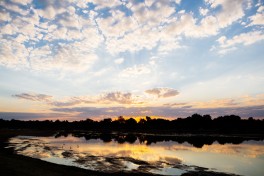Luangwa River view 