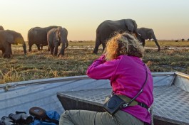 Chobe boat cruise 