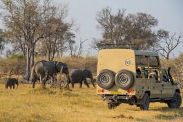 Game viewing 
