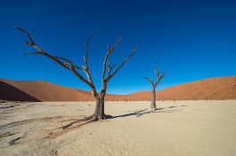 Deadvlei 