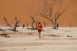 Sossusvlei 