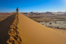 Namib dunes 