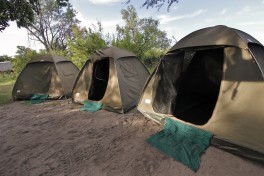 Tents 
