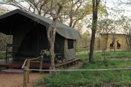 Tented eco-camp 