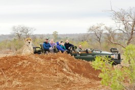 Game drive 