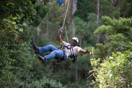 Tsitsikamma canopy tour 